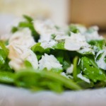 111003_arugula_0460 111003_arugula_0460